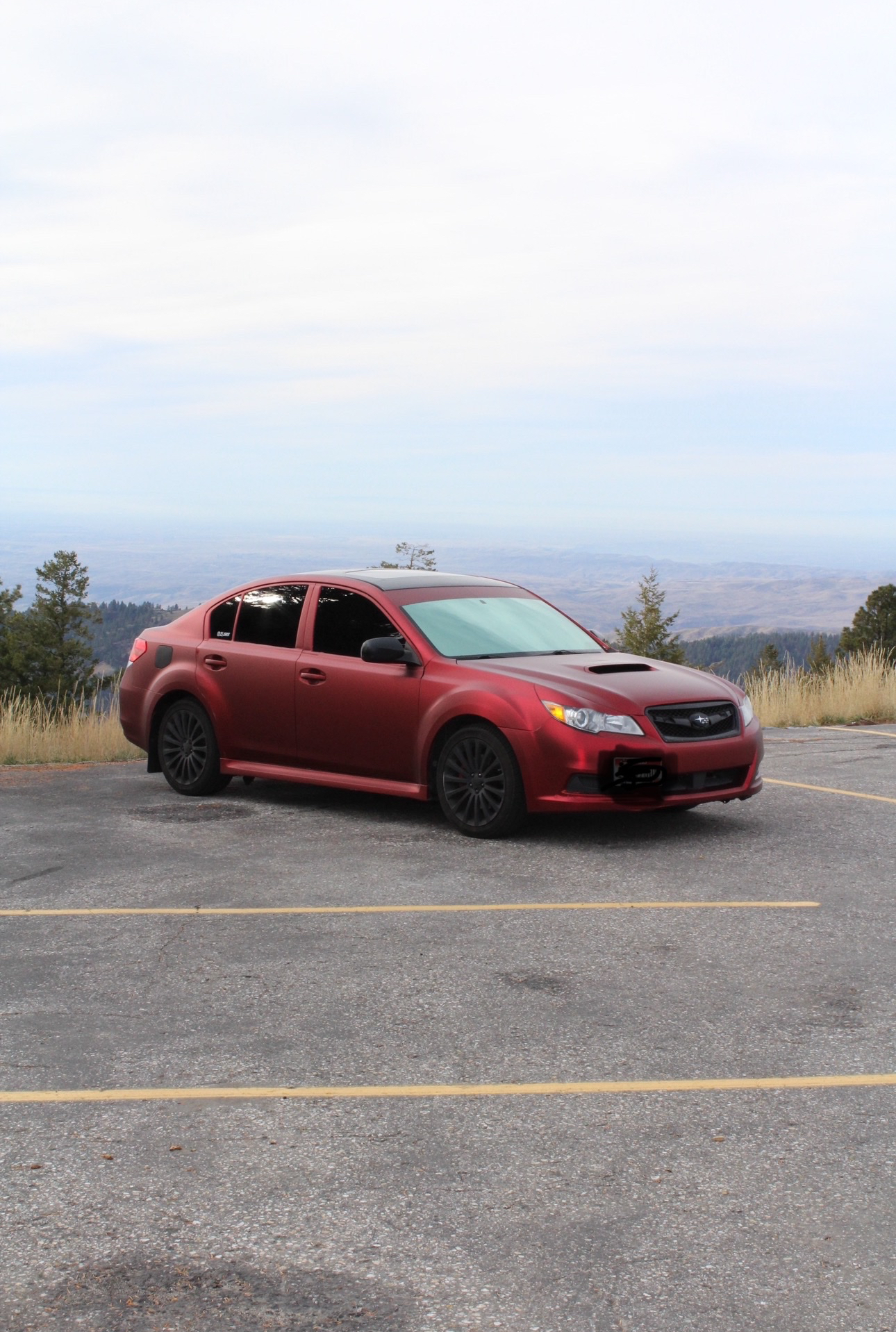 Auto Tinting